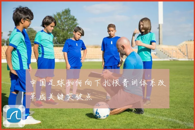 中国足球如何向下扎根青训体系改革成关键突破点