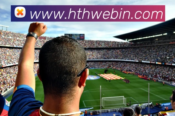 华体会体育平台生态图